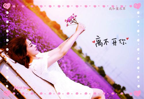 给小河的道歉信范文推荐