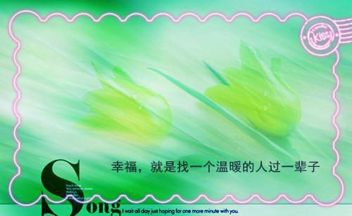 精美的爱情语句人生感悟