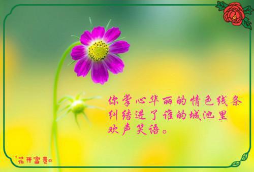 金融学生的一份自荐信样稿