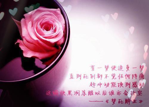 寒假会计专业毕业实习报告3000字