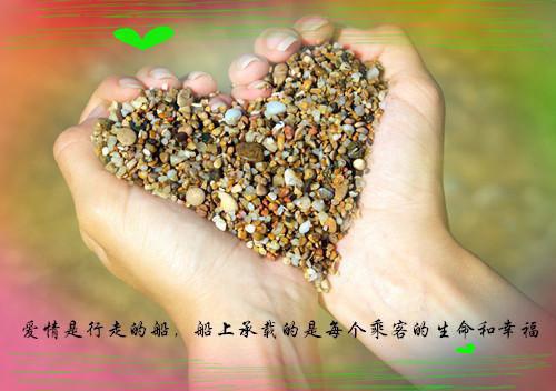 公司工会委员会工作报告范文