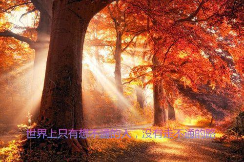 关于骂老师后的检讨书