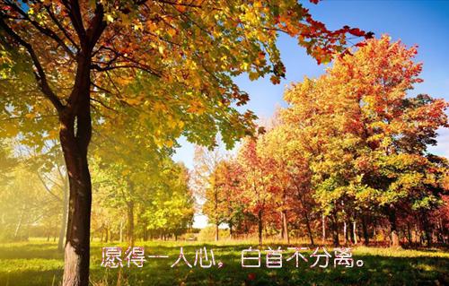 幼儿园教师岗位竞聘工作报告