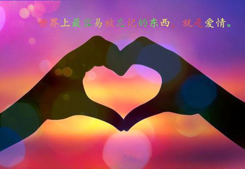 语文教育专业的相关自荐书