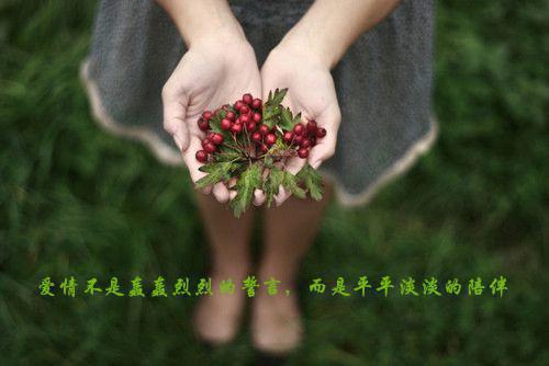 董事长年度工作报告
