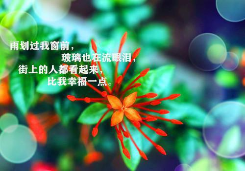 开会缺席检讨书