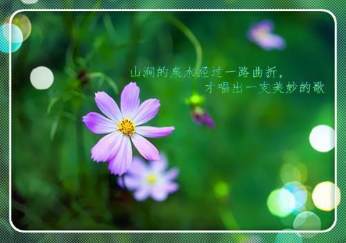 年终致客户感谢信