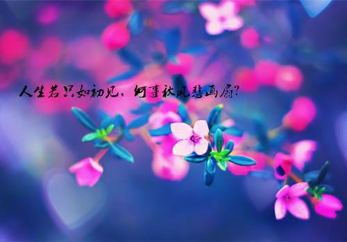谢昭野江意遥谢昭野江意遥番外（谢昭野江意遥）TXT+后续+结局在线阅读