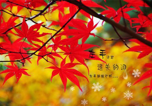 难免患得患失的伤感英文名言
