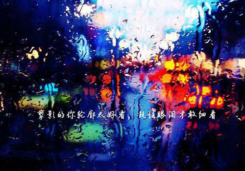 关于政协机关党支部换届工作报告