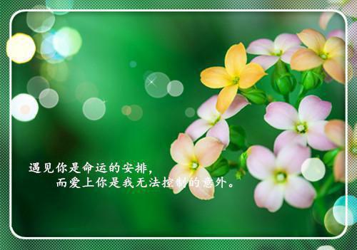 银行董事会年度工作报告范例