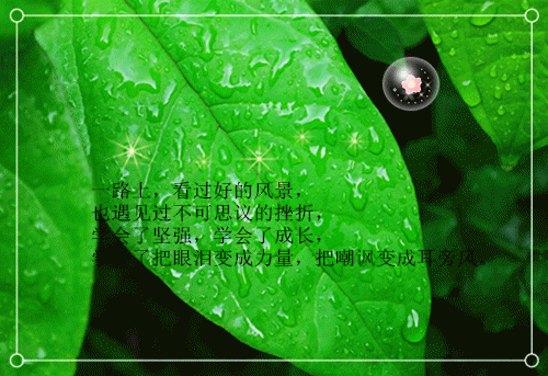 增加财务人员工作报告范文