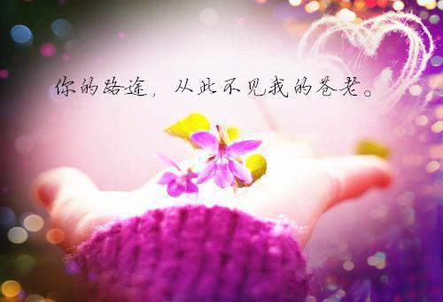 有关捐款的感谢信七篇