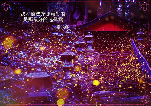 土木工程学生的实习工作报告