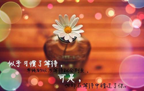 纪委换届工作报告6篇