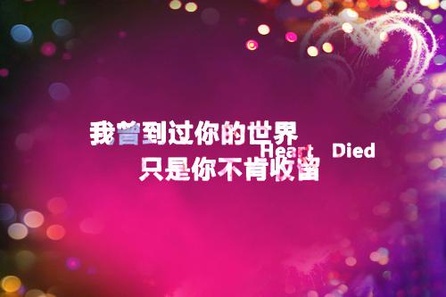 精选转正述职报告集锦10篇