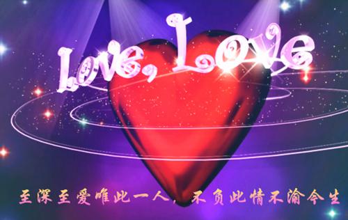 关于涉企收费自查报告