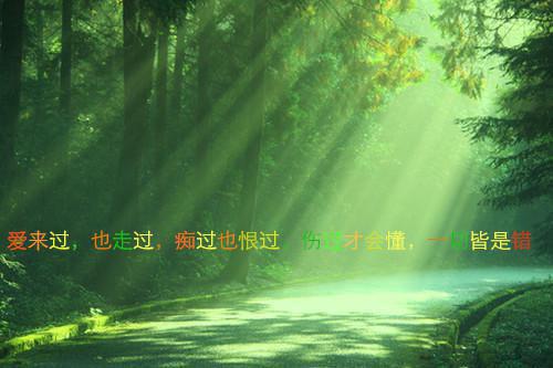 名人励志访谈录