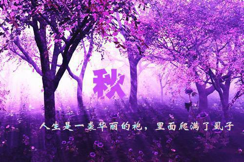 2023年暑假支教实践调研报告