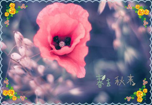 星星不缺月的光：结局+番外免费品鉴：结局+番外评价五颗星