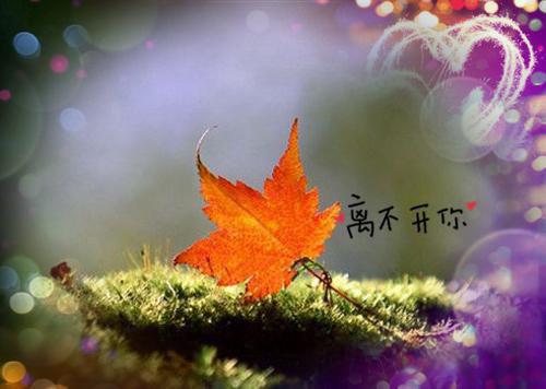 个人租房合同范本大全