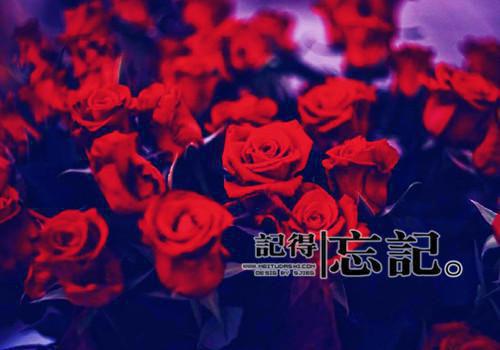 干部调动行政介绍信办理程序和范文