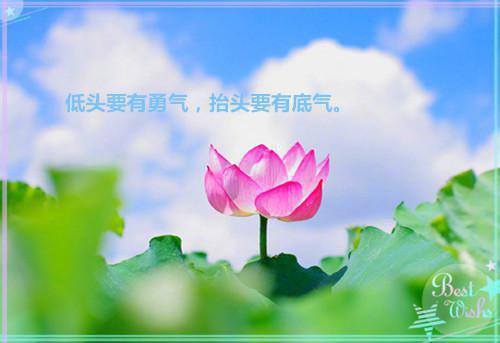 小老鼠的睡前故事