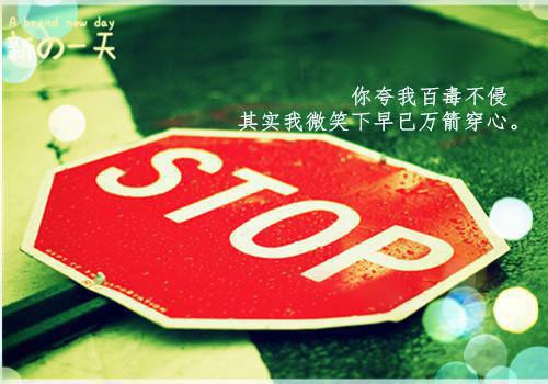 教师述职报告ppt范文