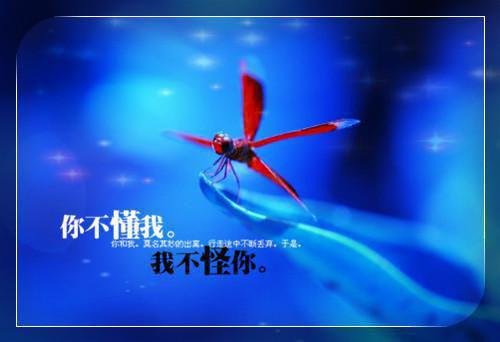关于作弊检讨书范文汇总5篇