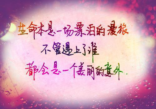 经典网络小说推荐