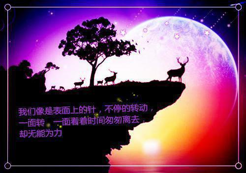 建筑业自查报告范文