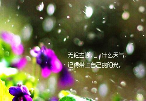 全县农田建设工作报告