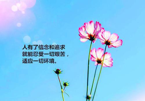 建筑工程求职信范文