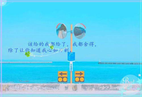 统计台帐自查报告