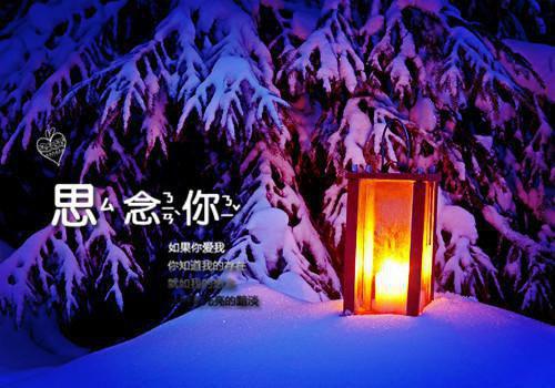 顶岗实习生的工作报告