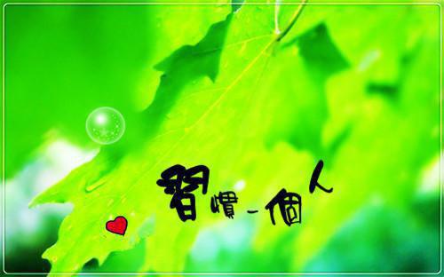 展望未来的诗句——《永遇乐·明月如霜》