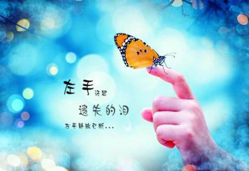 柳永的诗词大全