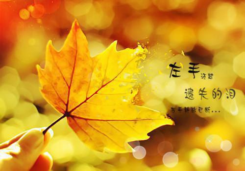 爱情的名言名语