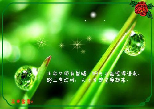 关于工会的承诺书3篇