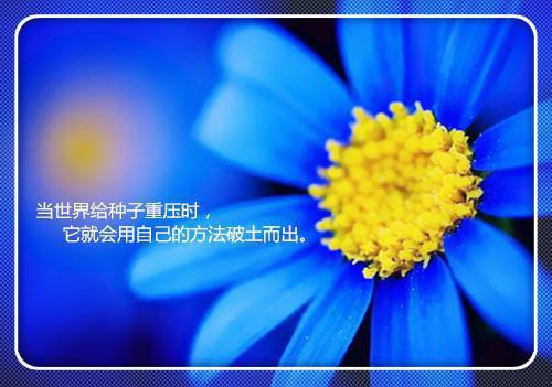 幼儿园毕业典礼的邀请函