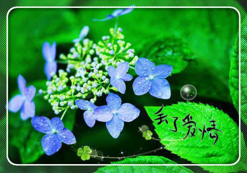 有关本科生求职信范文十篇