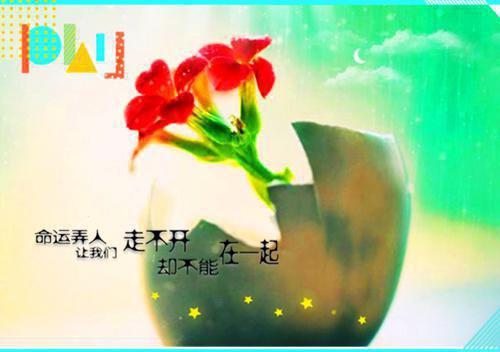 【精华】男朋友道歉信3篇