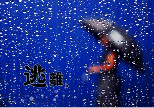林晚晚厉宗擎：+番外+后续在线阅读怎么就成了总裁夫人