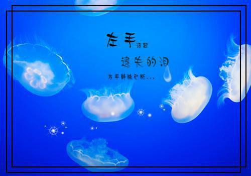 自动一体化专业求职信范文