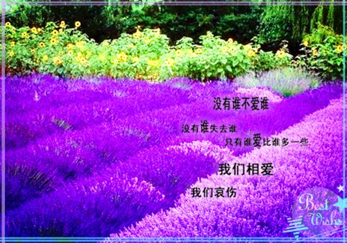 给顾客的一封道歉信