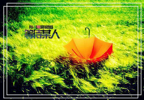 优秀会计专业社会实践报告范文