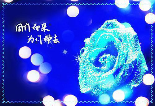 【精华】工程专业求职信范文锦集五篇
