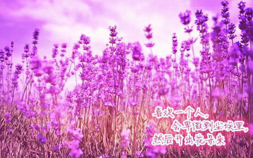 少数民族民间故事