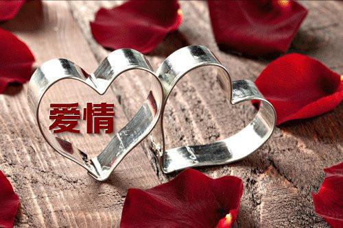 护理学求职信范文