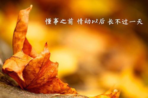写给老婆的道歉信范文